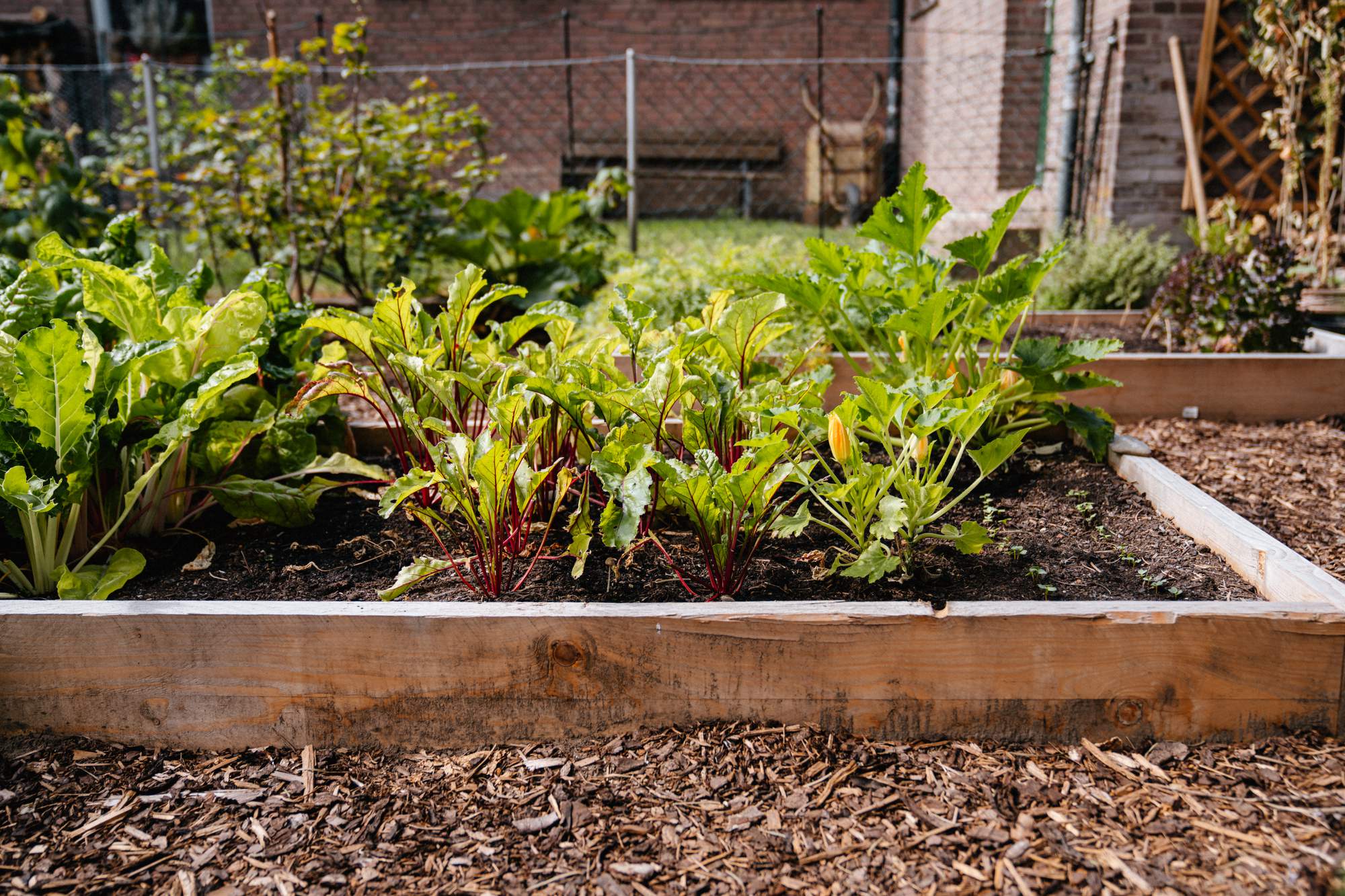 Konyhakerti naptár a zöldségágyáshoz